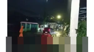BPBD Makassar Pastikan Penanganan Cepat Dampak Cuaca Ekstrem, Puluhan Jiwa Terdampak Pohon Tumbang