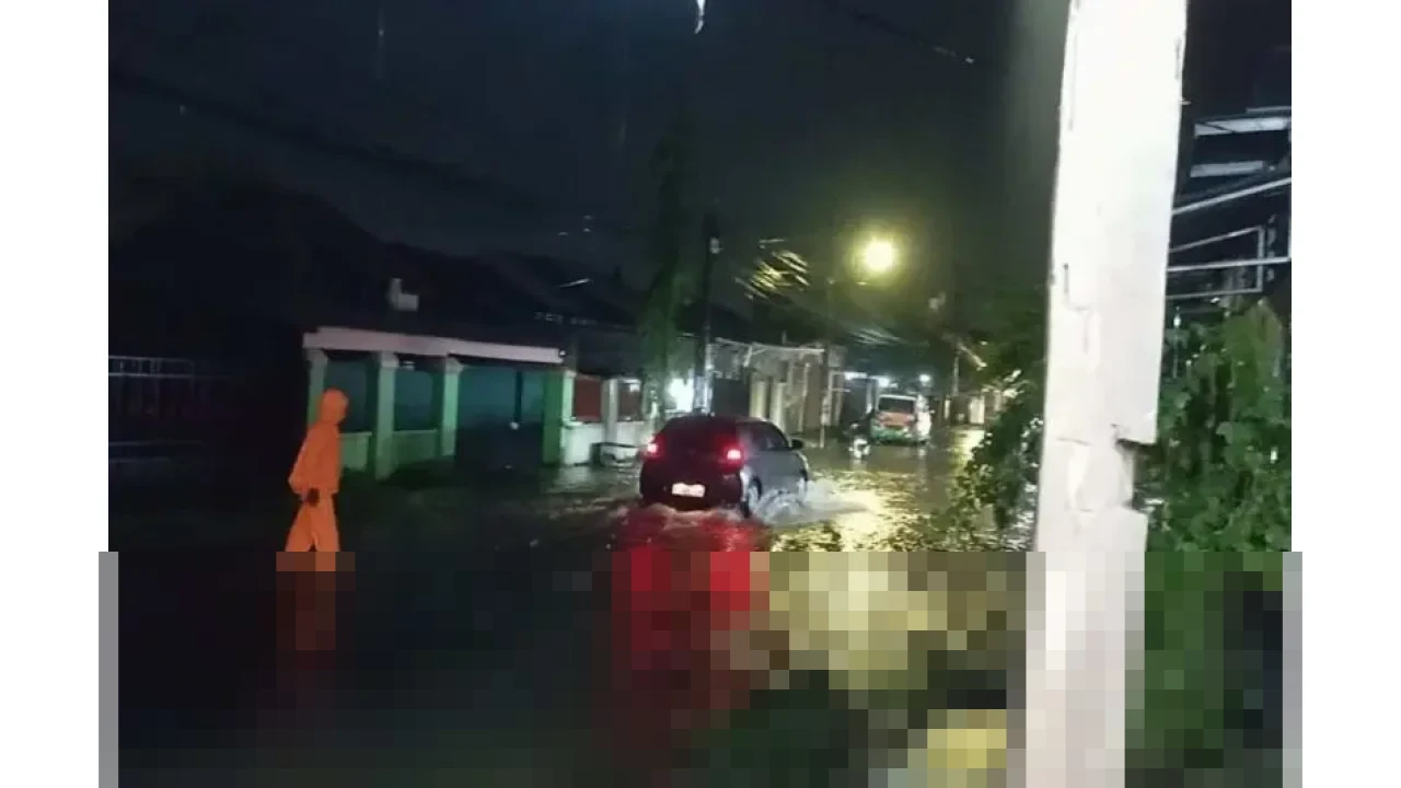 BPBD Makassar Pastikan Penanganan Cepat Dampak Cuaca Ekstrem, Puluhan Jiwa Terdampak Pohon Tumbang