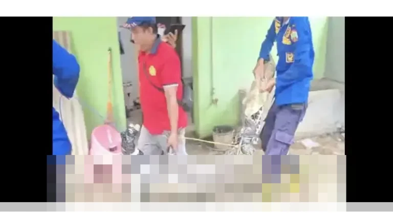 Buaya Peliharaan 28 Tahun di Natar Dievakuasi Damkarmat Lampung Selatan, Khawatir Membahayakan