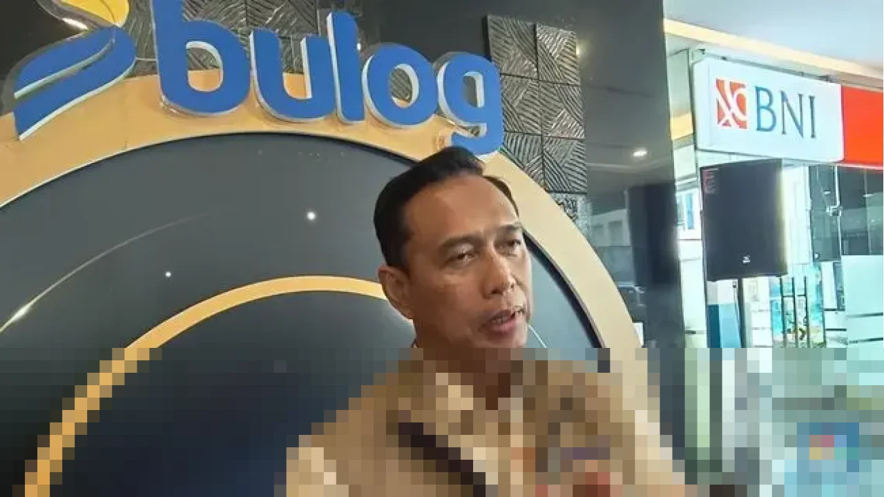 Bulog Umumkan Rencana Beras Premium Baru, Usulkan Kenaikan Margin Fee 10% ke Pemerintah