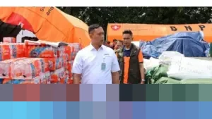 Bulog Usul Margin Fee 10 Persen untuk Penyaluran Beras, Setara Pertamina dan PLN