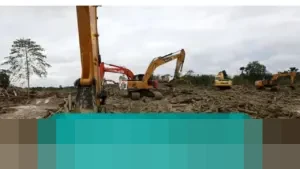 Bupati Aceh Tamiang Minta Fatwa Kemenhut: “Jangan Sampai Dipanggil APH” soal Kayu Banjir