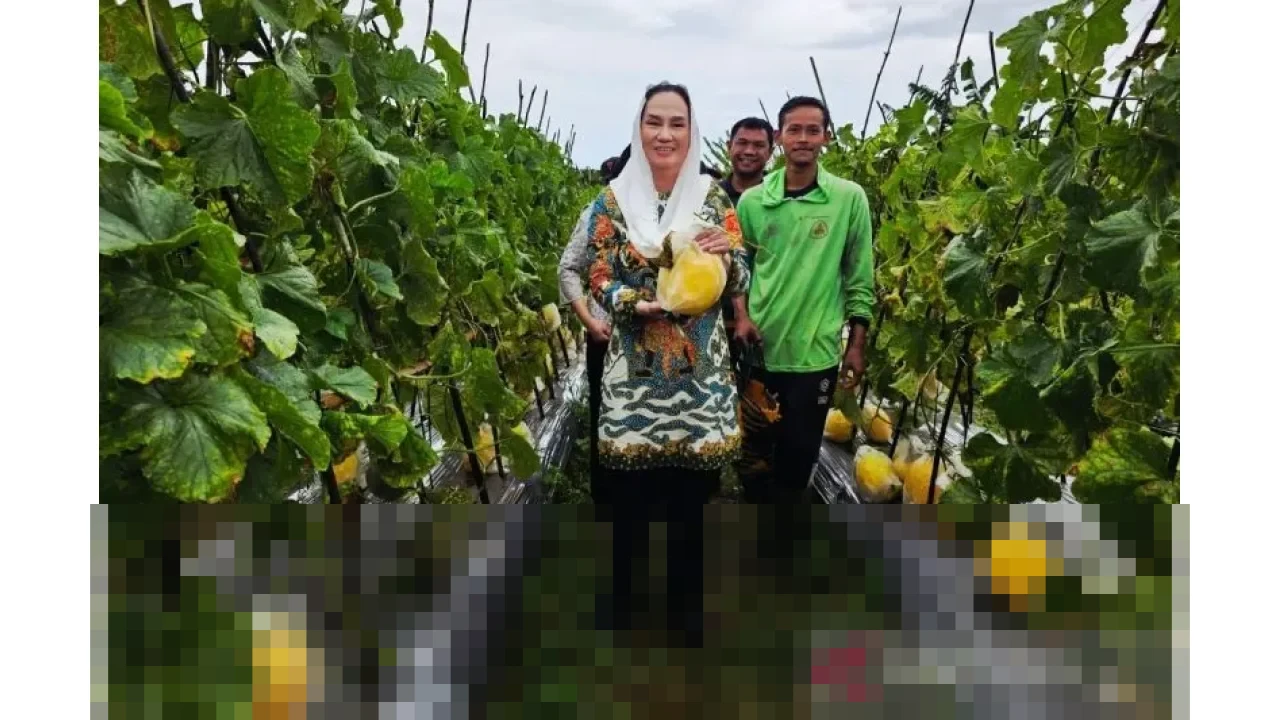 Bupati Natuna Cen Sui Lan: “MBG Juga Bertujuan untuk Menumbuhkan Ekonomi Petani Lokal” Bupati Natuna Cen Sui Lan: “MBG Juga Bertujuan untuk Menumbuhkan Ekonomi Petani Lokal”