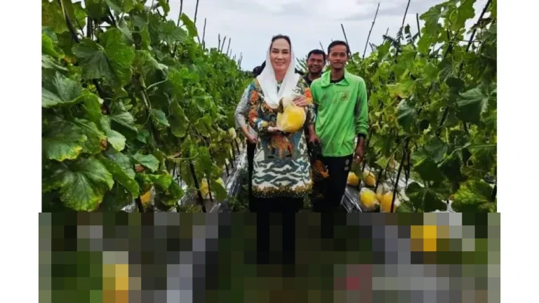Bupati Natuna: “MBG Juga Tumbuhkan Ekonomi Lokal,” Dorong Petani Melon Pasok Kebutuhan Program Gizi