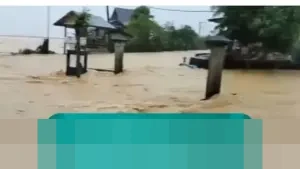 Bupati Pidie Jaya: “Sering Terjadi Gesekan” di Pengungsian, Pembangunan Huntara Mendesak Dipercepat