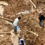 Camat Tanjung Raya Pastikan Tak Ada Korban Jiwa dalam Banjir Bandang yang Rendam Puluhan Rumah di Maninjau