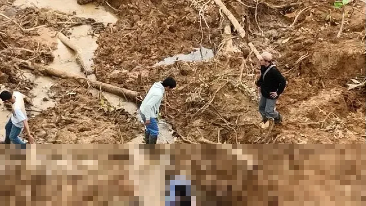 Camat Tanjung Raya Pastikan Tak Ada Korban Jiwa dalam Banjir Bandang yang Rendam Puluhan Rumah di Maninjau