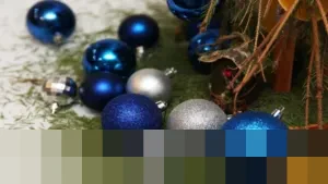 Cara Efektif Membersihkan Jarum Pinus dari Karpet dan Lantai dengan Roller Perekat