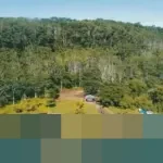 Chengdong Investment Raup Rp1,03 Triliun dari Divestasi Saham BUMI Grup Bakrie-Salim