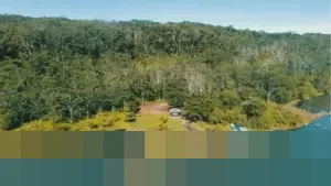 Chengdong Investment Raup Rp1,03 Triliun dari Divestasi Saham BUMI Grup Bakrie-Salim