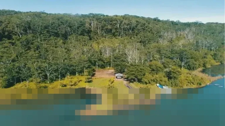 Chengdong Investment Raup Rp1,03 Triliun dari Divestasi Saham BUMI Grup Bakrie-Salim Chengdong Investment Raup Rp1,03 Triliun dari Divestasi Saham BUMI Grup Bakrie-Salim