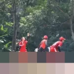 Cricket Putra Indonesia Pecahkan Rekor Dunia, Catatkan 45 Laga T20I Sepanjang 2025