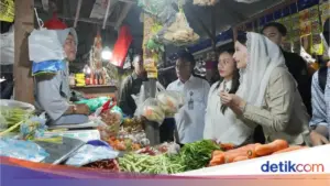 Cuaca Ekstrem Picu Kenaikan Harga Cabai, Wamendag Pastikan Stok Pangan Aman Jelang Nataru