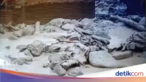 Curah Hujan Ekstrem Picu Banjir Bandang Susulan di Maninjau, Puluhan Rumah Terendam