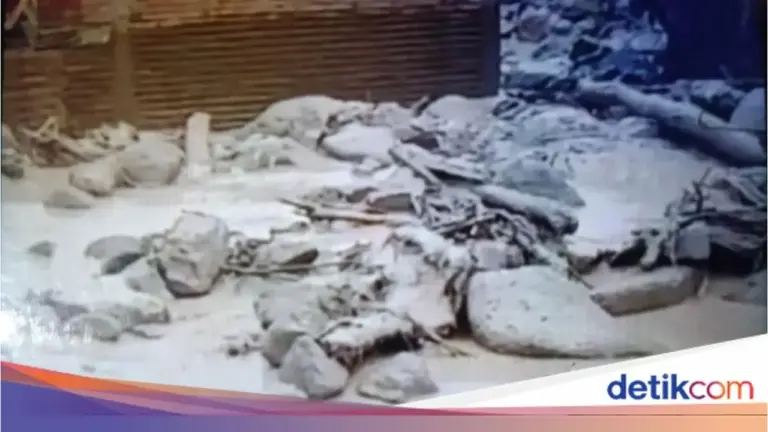 Curah Hujan Ekstrem Picu Banjir Bandang Susulan di Maninjau, Puluhan Rumah Terendam