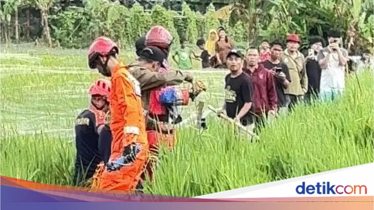 Damkar Bekasi Hadapi Perlawanan Sengit Buaya Jumbo Saat Evakuasi di Sawah Bantargebang
