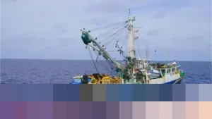 Dirjen PSDKP KKP: Kapal Ilegal Fishing Tak Lagi Ditenggelamkan, Kini Diberdayakan untuk Nelayan Lokal
