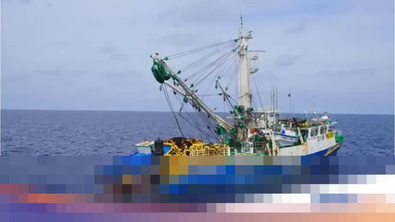 Dirjen PSDKP KKP: Kapal Ilegal Fishing Tak Lagi Ditenggelamkan, Kini Diberdayakan untuk Nelayan Lokal