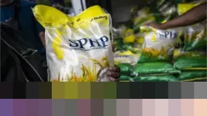 Dirut Bulog: “Beras SPHP Premium Rp 13.500/kg dari Sabang sampai Merauke akan Sama”