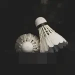 Enam Tunggal Putra Berbeda Sabet Gelar BWF World Tour Super 750 2025, Tunjukkan Meratanya Kekuatan Dunia