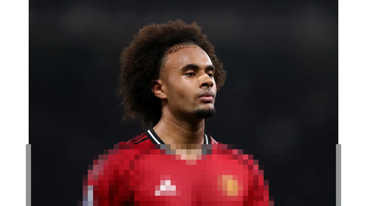 Everton dan AS Roma Saling Sikut untuk Dapatkan Joshua Zirkzee di Bursa Transfer Januari