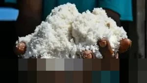 Frista Yorhanita: “SNI Baru Mudahkan Garam Rakyat Terserap Industri”