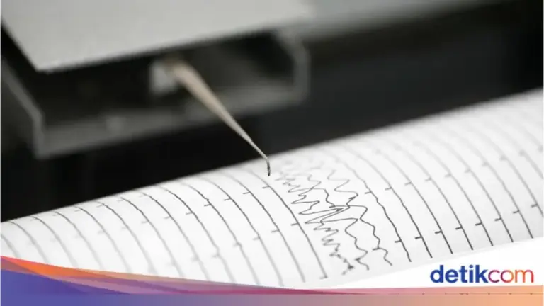 Gempa Magnitudo 3,9 Guncang Gayo Lues Aceh pada Kamis Malam, Pusat di Kedalaman Sangat Dangkal