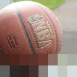 Giannis Antetokounmpo Pimpin Perolehan Suara Periode Pertama NBA All-Star 2026 Wilayah Timur