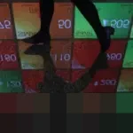 Grup Prajogo Pangestu Negosiasi Akuisisi Saham Pengendali Emiten SINI Milik Hapsoro