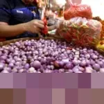 Harga Cabai Rawit dan Bawang Merah Turun Signifikan, Bapanas Rilis Data Pangan Nasional