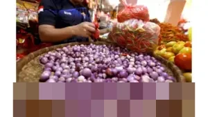 Harga Cabai Rawit dan Bawang Merah Turun Signifikan, Bapanas Rilis Data Pangan Nasional