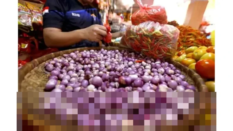 Harga Cabai Rawit dan Bawang Merah Turun Signifikan, Bapanas Rilis Data Pangan Nasional Harga Cabai Rawit dan Bawang Merah Turun Signifikan, Bapanas Rilis Data Pangan Nasional