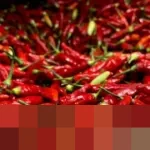 Harga Cabai Rawit Merah Rp45.000/Kg dan Telur Ayam Rp29.000/Kg di Tingkat Nasional