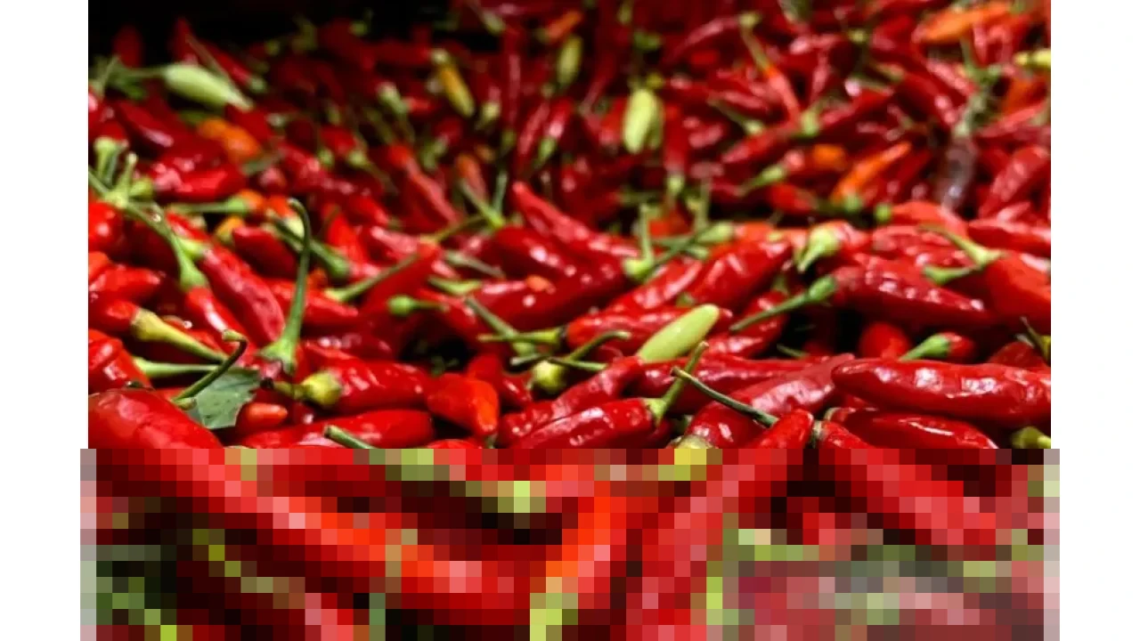 Harga Cabai Rawit Merah Rp45.000/Kg dan Telur Ayam Rp29.000/Kg di Tingkat Nasional