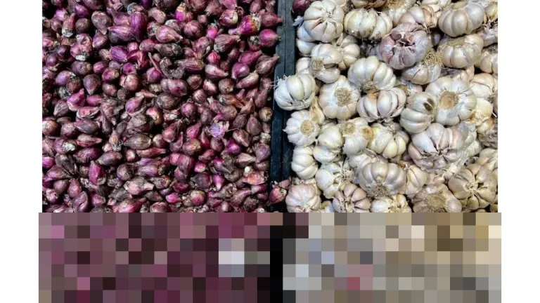 Harga Cabai Rawit Merah Turun Jadi Rp59.923/Kg, Bawang Merah Rp43.928/Kg per 28 Desember 2025