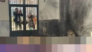 Homs Berduka: Ratusan Pelayat Iringi Jenazah Korban Bom Masjid, Abu Ahmad Ungkap Kengerian