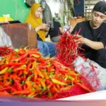 IKAPPI Soroti Kenaikan Harga Pangan Jelang Nataru: Cabai Tembus Rp 80 Ribu, Telur Rp 32 Ribu/Kg