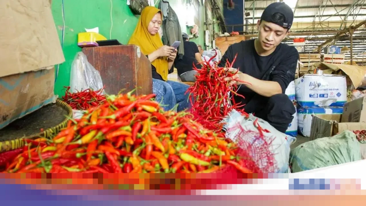 IKAPPI Soroti Kenaikan Harga Pangan Jelang Nataru: Cabai Tembus Rp 80 Ribu, Telur Rp 32 Ribu/Kg