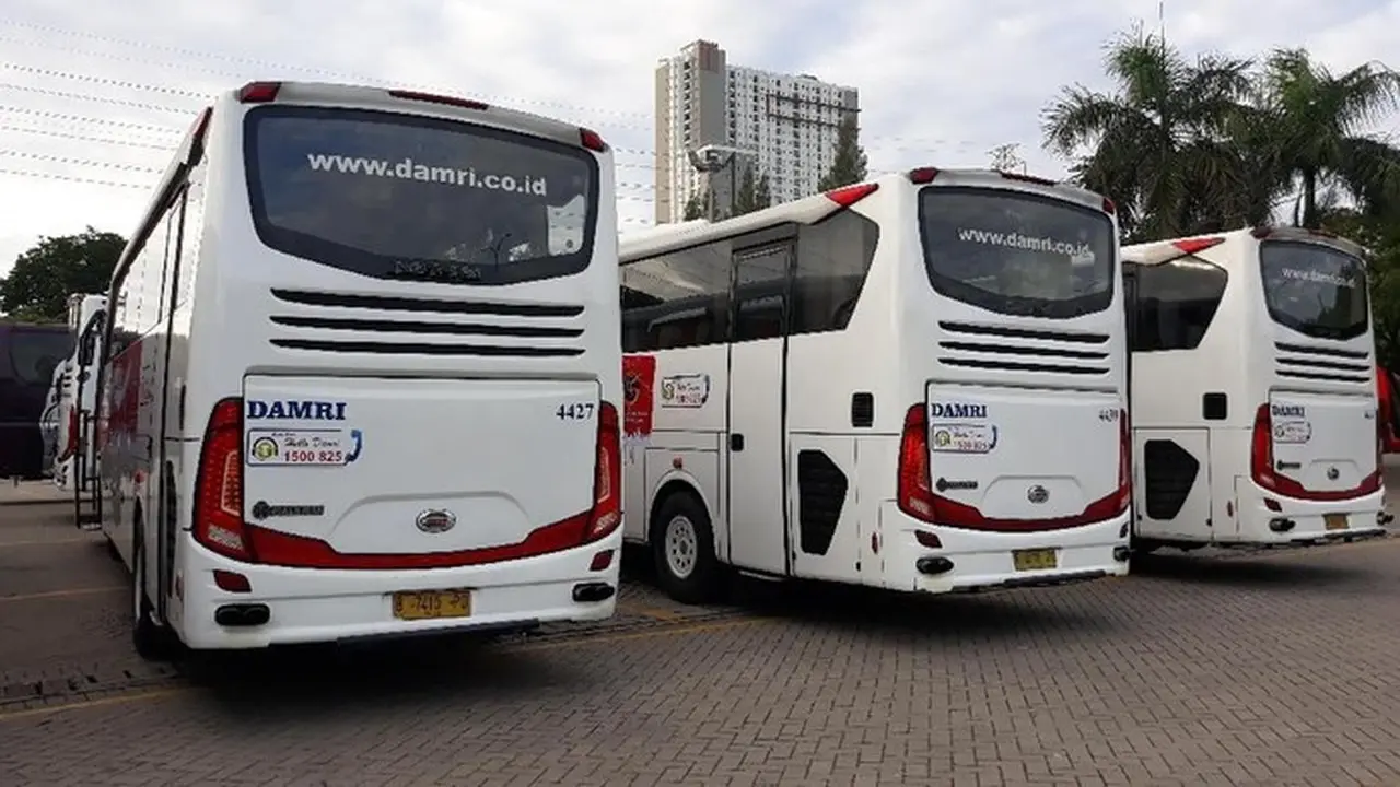 Kemenhub Buka Pendaftaran Mudik Gratis Nataru 2025/2026, 10 Kota Tujuan Tersedia