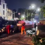 Pohon Kapuk Tumbang di Pinangsia, Jalan Kunir Jakarta Barat Berangsur Bisa Dilintasi