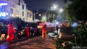 Pohon Kapuk Tumbang di Pinangsia, Jalan Kunir Jakarta Barat Berangsur Bisa Dilintasi