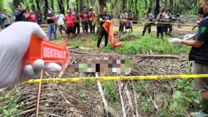 Siswa SMK di Lampung Ditemukan Tewas Membusuk di Kebun Sawit Setelah Hilang Sepekan