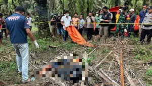 Siswa SMK Lampung Hilang 7 Hari Ditemukan Tewas di Kebun Sawit, Diduga Korban Pembunuhan