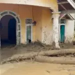 Walhi Kritik Gubernur Sumbar: Jangan Lempar Tanggung Jawab Atas Bencana Ekologis