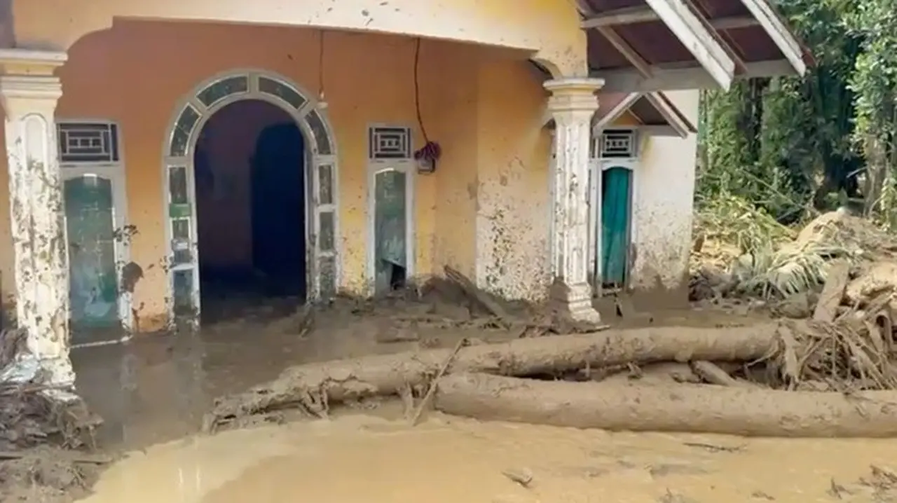 Walhi Kritik Gubernur Sumbar: Jangan Lempar Tanggung Jawab Atas Bencana Ekologis