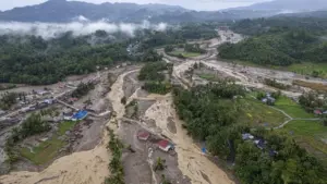 Pemprov Sumbar Bantah Tuduhan Walhi soal Izin Hutan, Sebut Kewenangan Berbeda