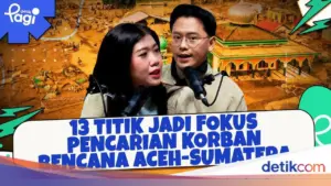 BNPB: Pencarian Korban Banjir dan Longsor Sumatera Fokus di 13 Titik, 1.016 Tewas