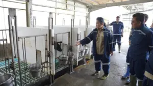 Tingginya Impor Susu 80%, Komisi IV DPR Mendesak Pemerintah Genjot Swasembada Pangan Nasional