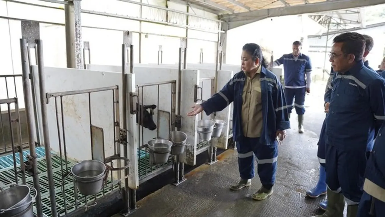 Tingginya Impor Susu 80%, Komisi IV DPR Mendesak Pemerintah Genjot Swasembada Pangan Nasional