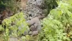 Fenomena Air Sungai ‘Menghilang’ di Tanah Datar, Badan Geologi Ungkap Penyebab Alamiah